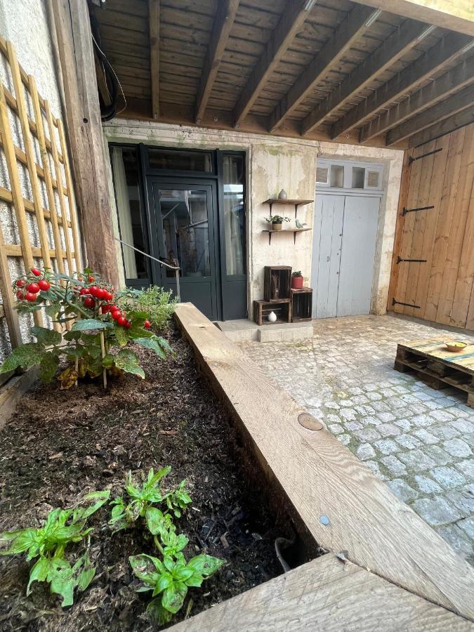 La Cour Chartraine - Cosy Appartement Avec Cour Exterieur A บลัวส์ ภายนอก รูปภาพ
